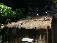 -圩墩遗址公园