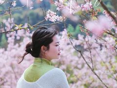 -田野绿世界