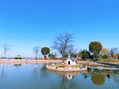 -鹅湖玫瑰文化园