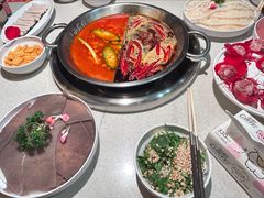 -小龙坎火锅(春熙太古里店)