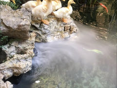 -赛格国际购物中心(小寨店)