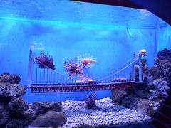 -太平洋海底世界