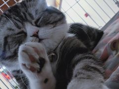 -正阳春烤鸭店(杨楼店)