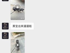 -西元前宠物酒店(郑庄府邸店)
