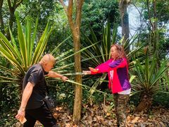 -西双版纳勐泐文化旅游区