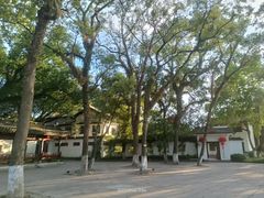 -江心屿景区