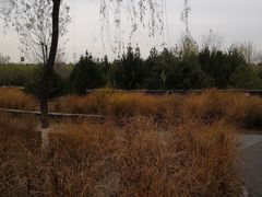 -东郊湿地公园