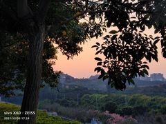 -水濂山森林公园