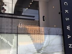 -BLACKSWAN黑天鹅(环球店)