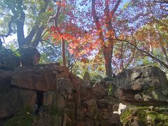 -绮园景区