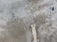 -北海银滩一号国际会议中心酒店