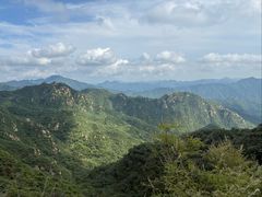 -大岭沟猕猴桃谷风景区