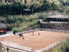 -宁海安岚·南溪阁全日餐厅