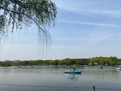 -昆山城市生态森林公园