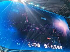 -深圳市宝安体育中心体育场