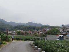-龙坞茶村