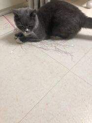 -Pink You美甲美睫纹绣定制中心