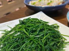 -靖远尕六美味羊羔肉