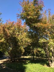 -大望京儿童游乐场