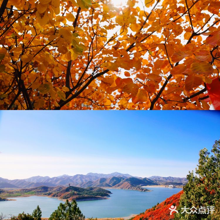 北京赏秋 金海湖最佳红叶观赏地