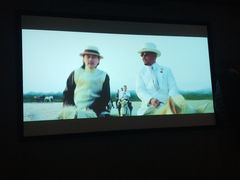 -臻江南影院式足道(雅安店)