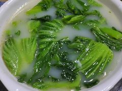 -石岐乳鸽村(南海第三分店)