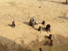 -杭州野生动物世界
