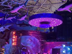 -烟台海昌鲸鲨海洋公园