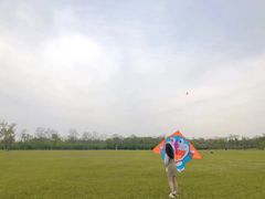 -上海海湾国家森林公园