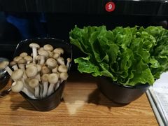 -东椰·海南椰子鸡火锅(朝阳门店)