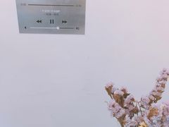 -一粒糖 · 潮汕小吃-海石花特色甜品
