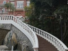 -香港大学