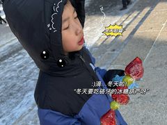 -长春市南湖公园