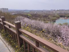 -河北省园博园