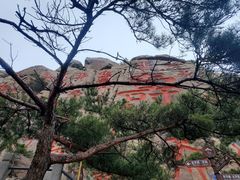 -崂山仰口游览区