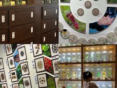 -南京中医药大学(仙林校区)