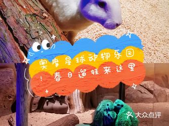 最佳动物主题乐园！春日最佳遛娃场地！