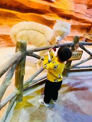 -酷嗒动物文化乐园(cutezoo西溪乐天城店)