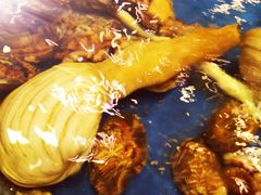 -金海湾海鲜总店