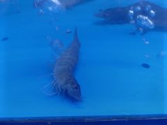 -徐记海鲜(大雁塔|金都店)