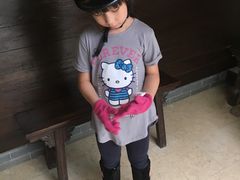 -松声马术俱乐部