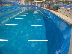 -水贝乐国际水育儿童游泳中心(新业广场店)
