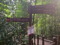 -武吉知马自然保护区