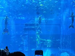 -南昌融创海世界