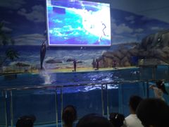 -福州罗源湾海洋世界旅游区