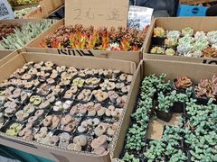 -河滨大楼