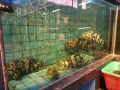 -新金盛·海鲜酒楼(盐田店)