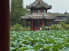 -莲池书院博物馆