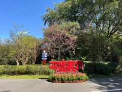 -深圳国际园林花卉博览园