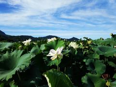 -古田会议纪念馆